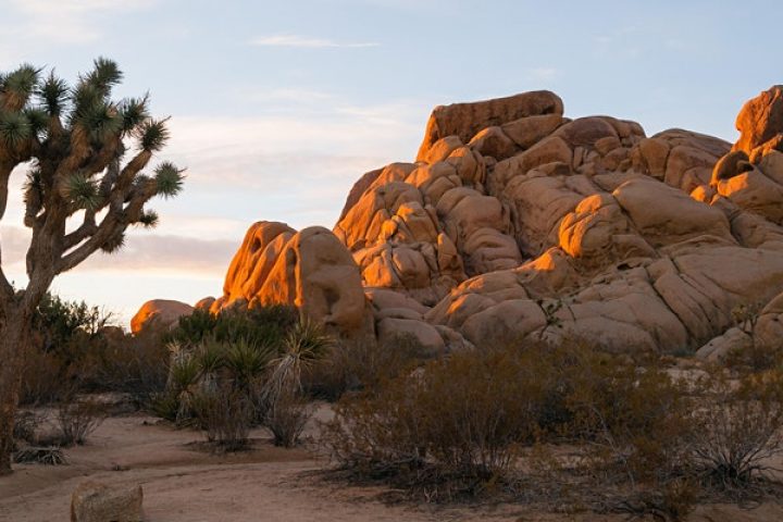 A lovely desert image from the Leading Well Retreat