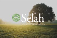 A tree in a field and the Selah logo illustrates Leadership Transformation retreat at Spirit in the Desert