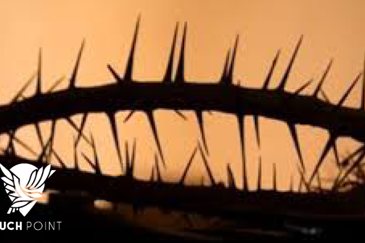 Crown of Thorns illustrates Jesus' Kingdom is not of this world