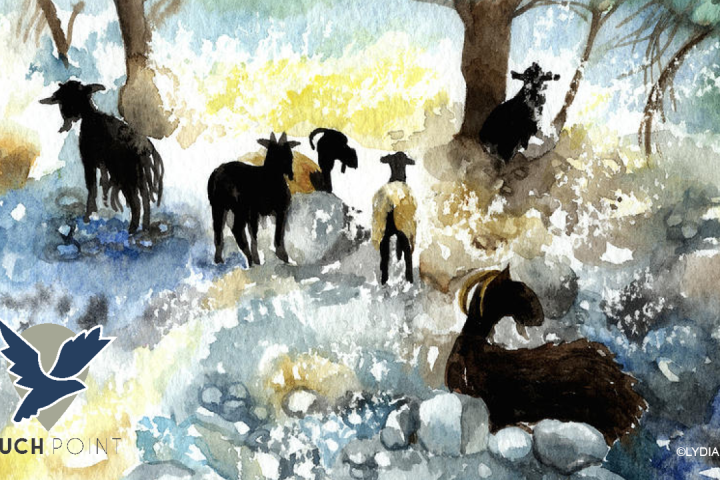 Touchpoint: Matthew 25; Image: painting of sheep and goats by Lydia Irving