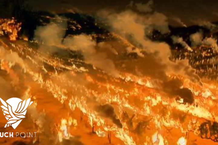 Touchpoint: I Am the Vine. Photo of a vineyard in flames from the movie, A Walk in the Clouds